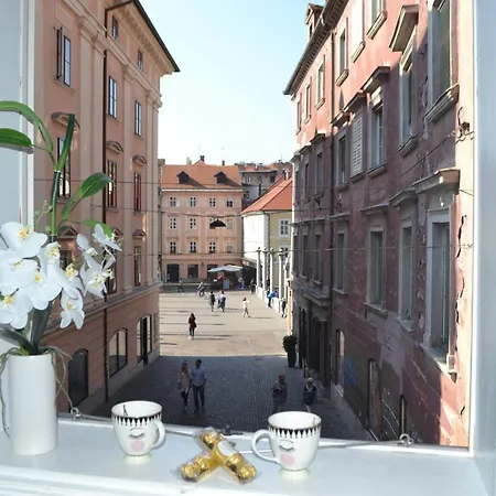 Appartement Leon Downtown